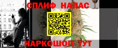трава Камышлов